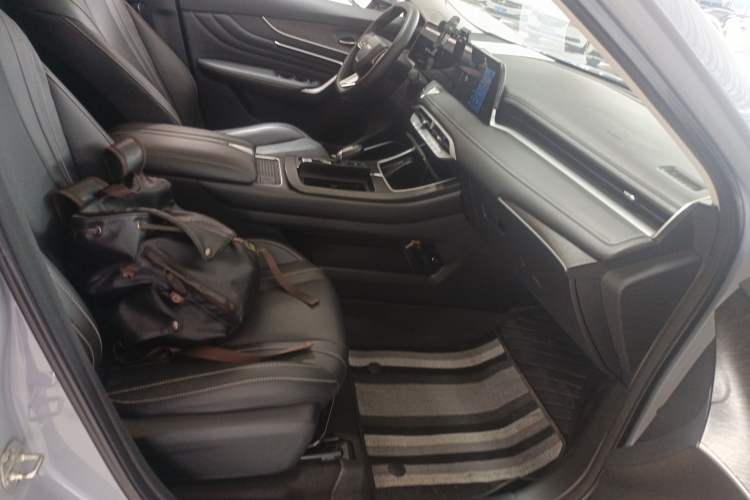 Used Venucia V 2023 260T Idol Edition Pro Right Front Seat
