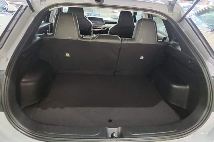 Used Venucia V 2023 260T Idol Edition Pro Trunk
