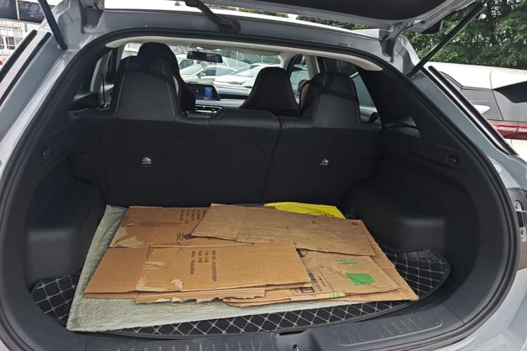Used Venucia V 2023 260T Idol Edition Pro Trunk