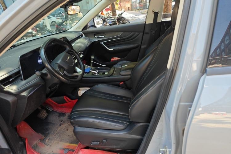 Used Venucia V 2023 260T Tianwang Edition Pro Left Front Seat