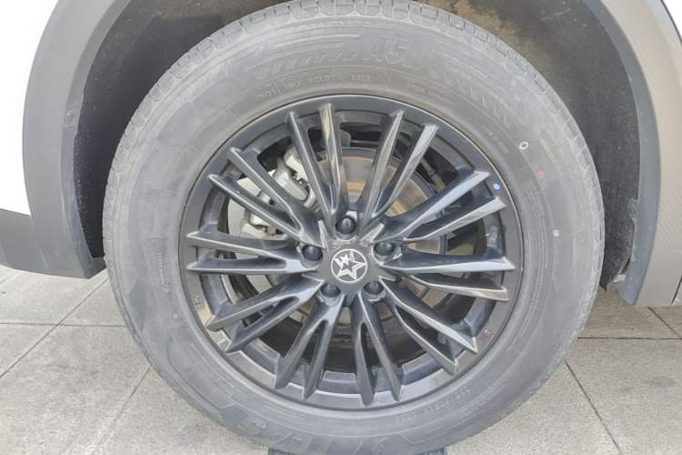 Used Venucia V 2023 260T Idol Edition Pro Exterior 5