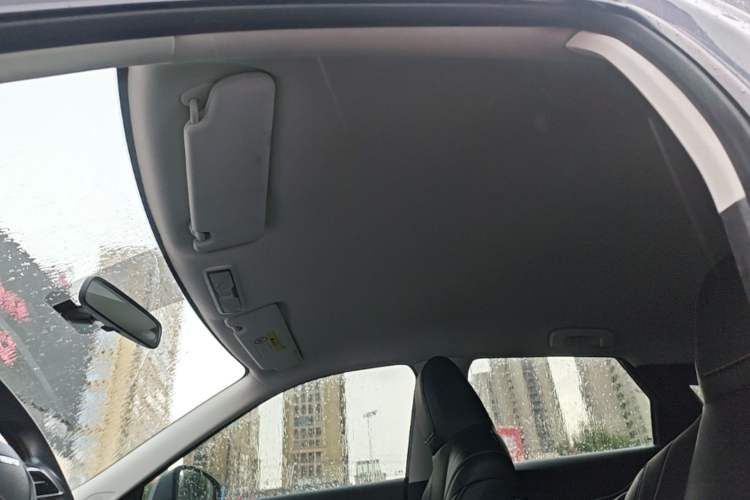Used Venucia V 2024 260T New Star Edition Pro Headliner