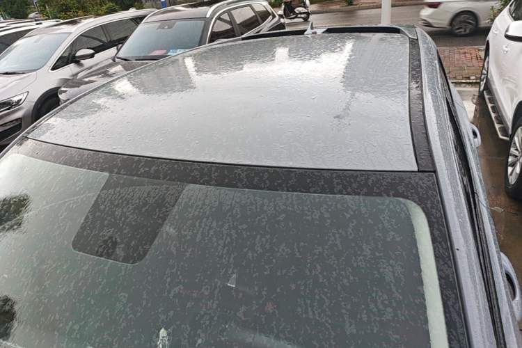 Used Venucia V 2024 260T New Star Edition Pro Roof