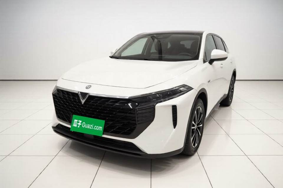 Venucia V 2024