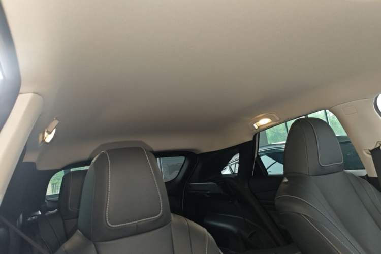 Used Venucia V 2024 260T New Star Edition Pro Headliner