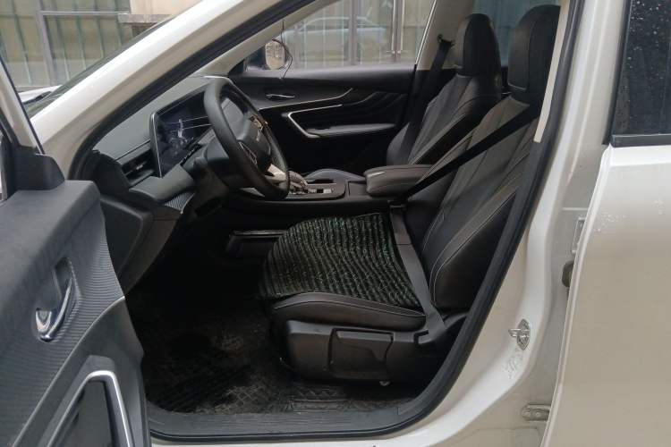 Used Venucia V 2024 260T New Star Edition Pro Left Front Seat