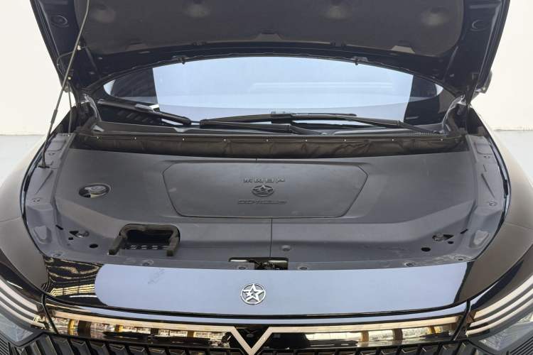 Used Venucia V DD-i 2023 110 km iE Version Engine Bay