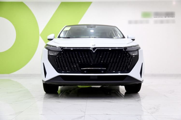 Used Venucia V DD-i 2023 60km iD Version Exterior 4