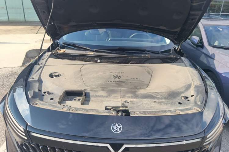 Used Venucia V DD-i 2023 110 km iE Version Engine Bay
