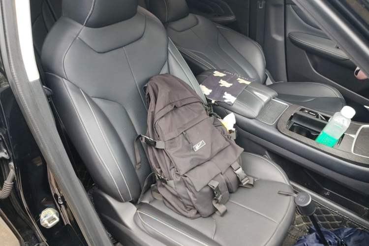 Used Venucia V DD-i 2023 110 km iE Version Right Front Seat