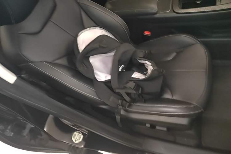 Used Venucia V DD-i 2023 110 km iE Version Right Front Seat