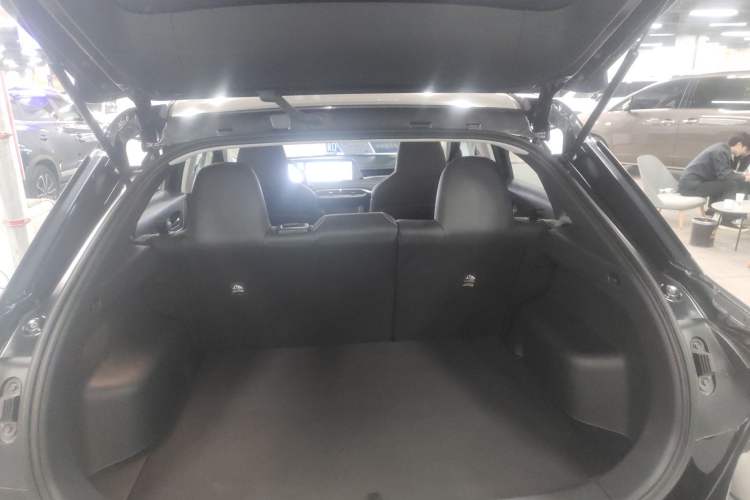 Used Venucia V DD-i 2023 110 km iE Version Trunk