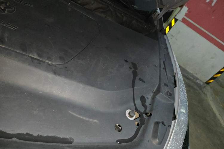 Used Venucia V DD-i 2023 110 km iE Version Engine Bay Left