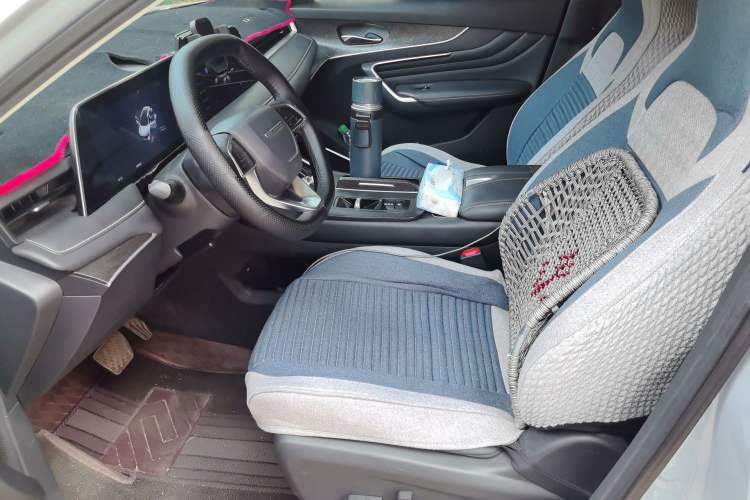 Used Venucia V DD-i 2023 110 km iE Version Left Front Seat