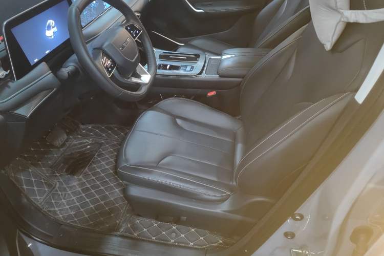 Used Venucia V DD-i 2023 60km iD Version Left Front Seat