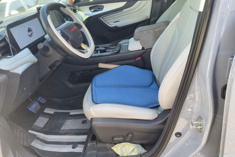 Used Venucia V DD-i 2023 60km iD Version Left Front Seat