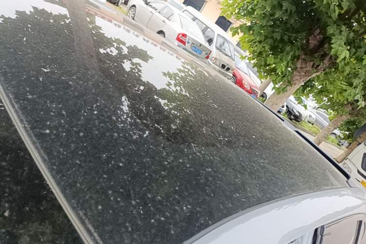 Used Venucia V DD-i 2023 110 km iE Version Roof