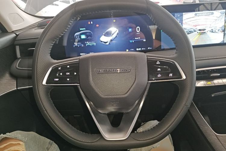 Used Venucia V DD-i 2023 60km iD Version Steering Wheel