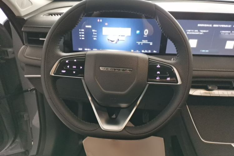 Used Venucia V DD-i 2023 60km iD Version Steering Wheel