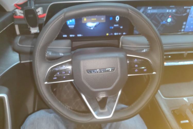 Used Venucia V DD-i 2023 60km iD Version Steering Wheel
