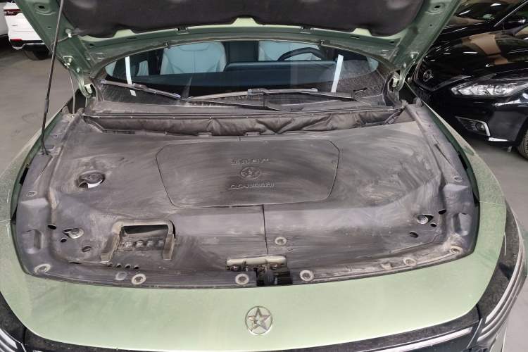Used Venucia V DD-i 2023 110 km iE Version Engine Bay