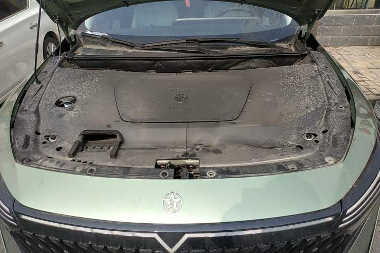 Used Venucia V DD-i 2023 110 km iE Version Engine Bay