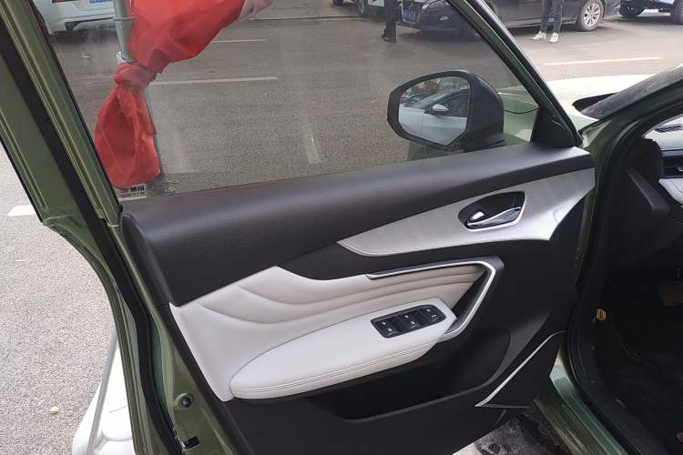 Used Venucia V DD-i 2023 110 km iE Version Left Front Door Interior
