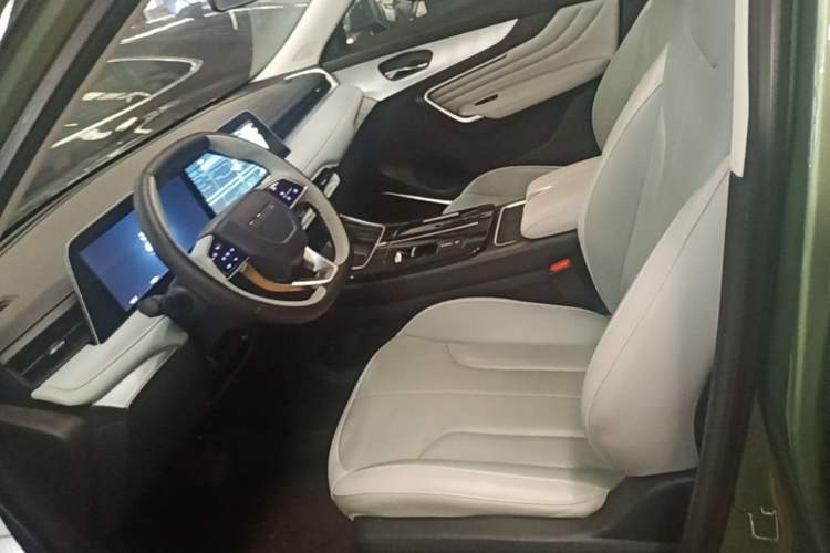 Used Venucia V DD-i 2023 110 km iE Version Left Front Seat