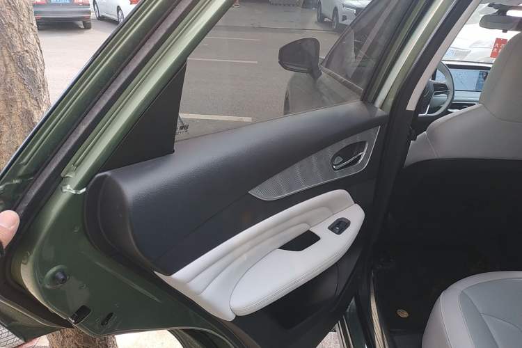 Used Venucia V DD-i 2023 110 km iE Version Left Rear Door Interior