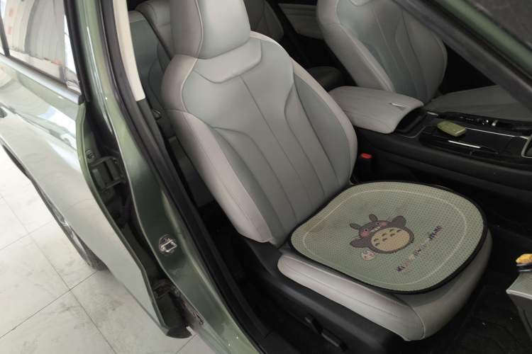 Used Venucia V DD-i 2023 110 km iE Version Right Front Seat