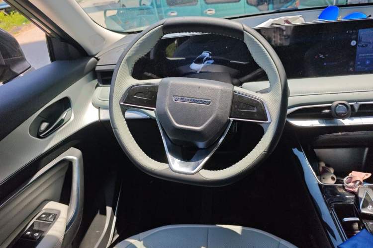 Used Venucia V DD-i 2023 110km iT Version Steering Wheel