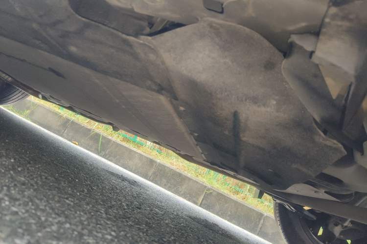 Used Venucia V DD-i 2023 110 km iE Version Chassis Rear Left