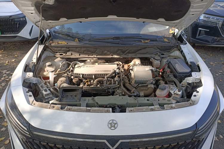 Used Venucia V DD-i 2023 110 km iE Version Engine Bay