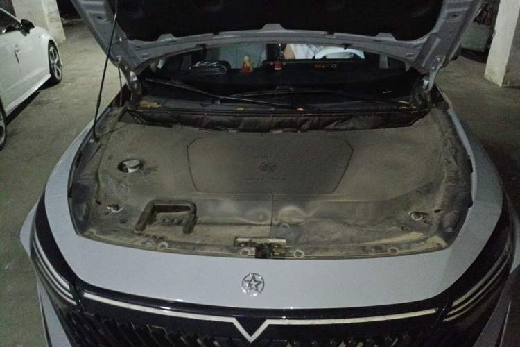 Used Venucia V DD-i 2023 110 km iE Version Engine Bay