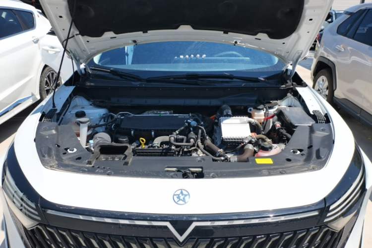 Used Venucia V DD-i 2023 60km iD Version Engine Bay