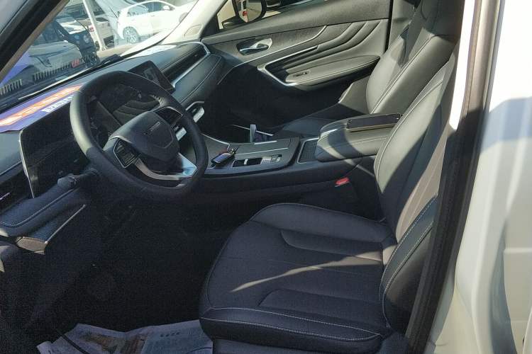 Used Venucia V DD-i 2023 110 km iE Version Left Front Seat