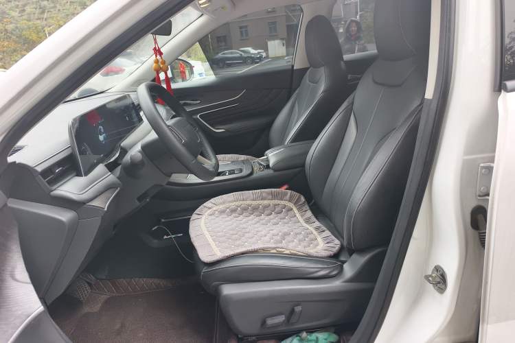Used Venucia V DD-i 2023 110 km iE Version Left Front Seat