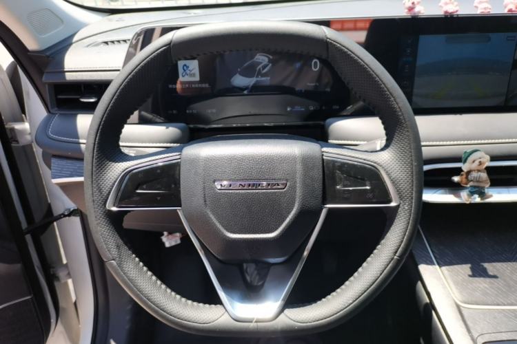 Used Venucia V DD-i 2023 60km iD Version Steering Wheel