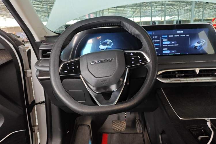 Used Venucia V DD-i 2023 110 km iE Version Steering Wheel