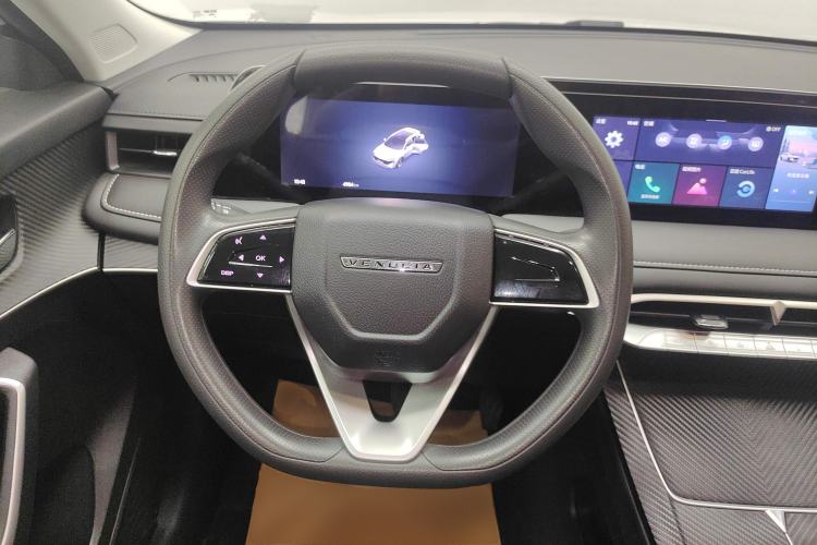 Used Venucia V DD-i 2023 60km iC Version Steering Wheel
