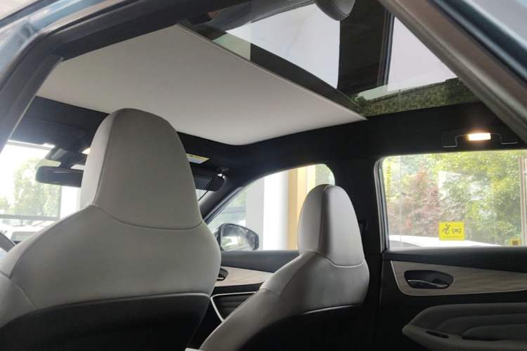 Used Venucia V DD-i 2025 Orca 150km Joyful Journey Edition Headliner