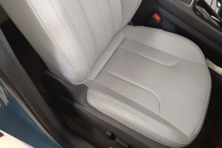 Used Venucia V DD-i 2025 Orca 150km Joyful Journey Edition Right Front Seat