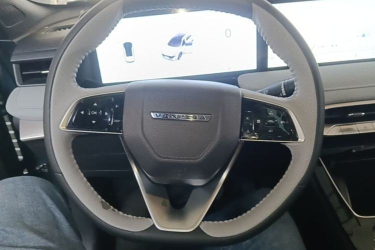 Used Venucia V DD-i 2025 Orca 150km Joyful Journey Edition Steering Wheel
