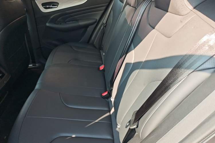 Used Venucia V DD-i 2025 Orca 150km Joyful Journey Edition Left Rear Seat