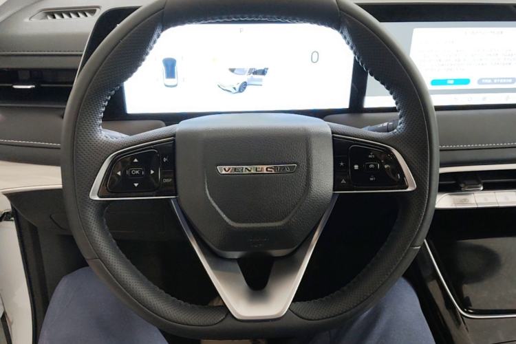 Used Venucia V DD-i 2025 Orca 150km Joyful Journey Edition Steering Wheel
