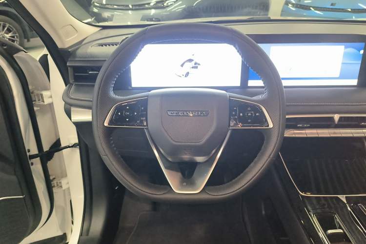 Used Venucia V DD-i 2025 Orca 150km Joyful Journey Edition Steering Wheel
