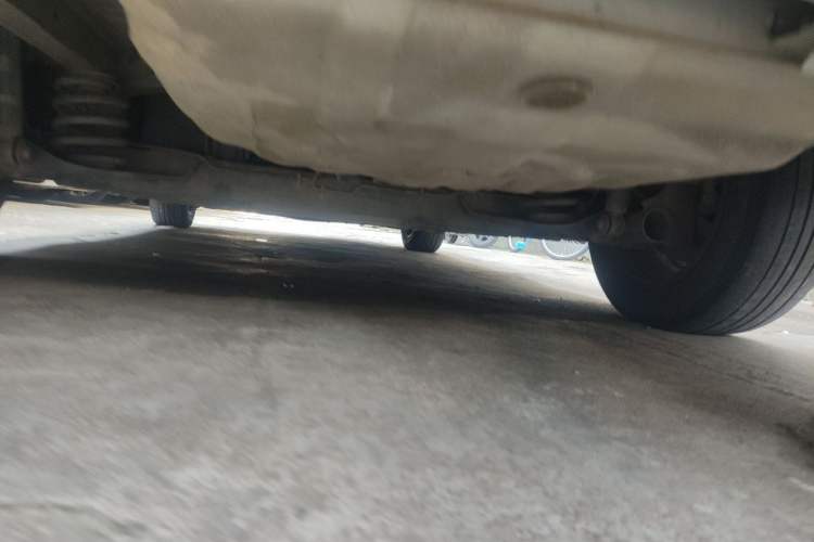 Used Venucia D60EV 2019 High-Range Travel Edition Chassis Rear
