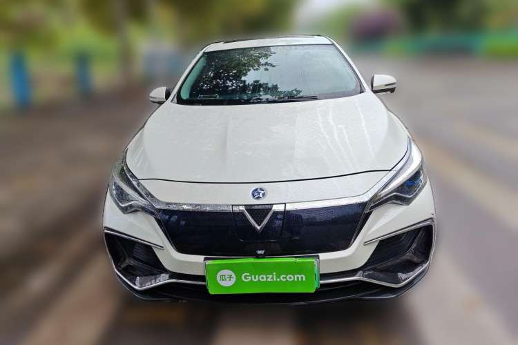 Used Venucia D60EV 2019 High-Range Deluxe Edition Front
