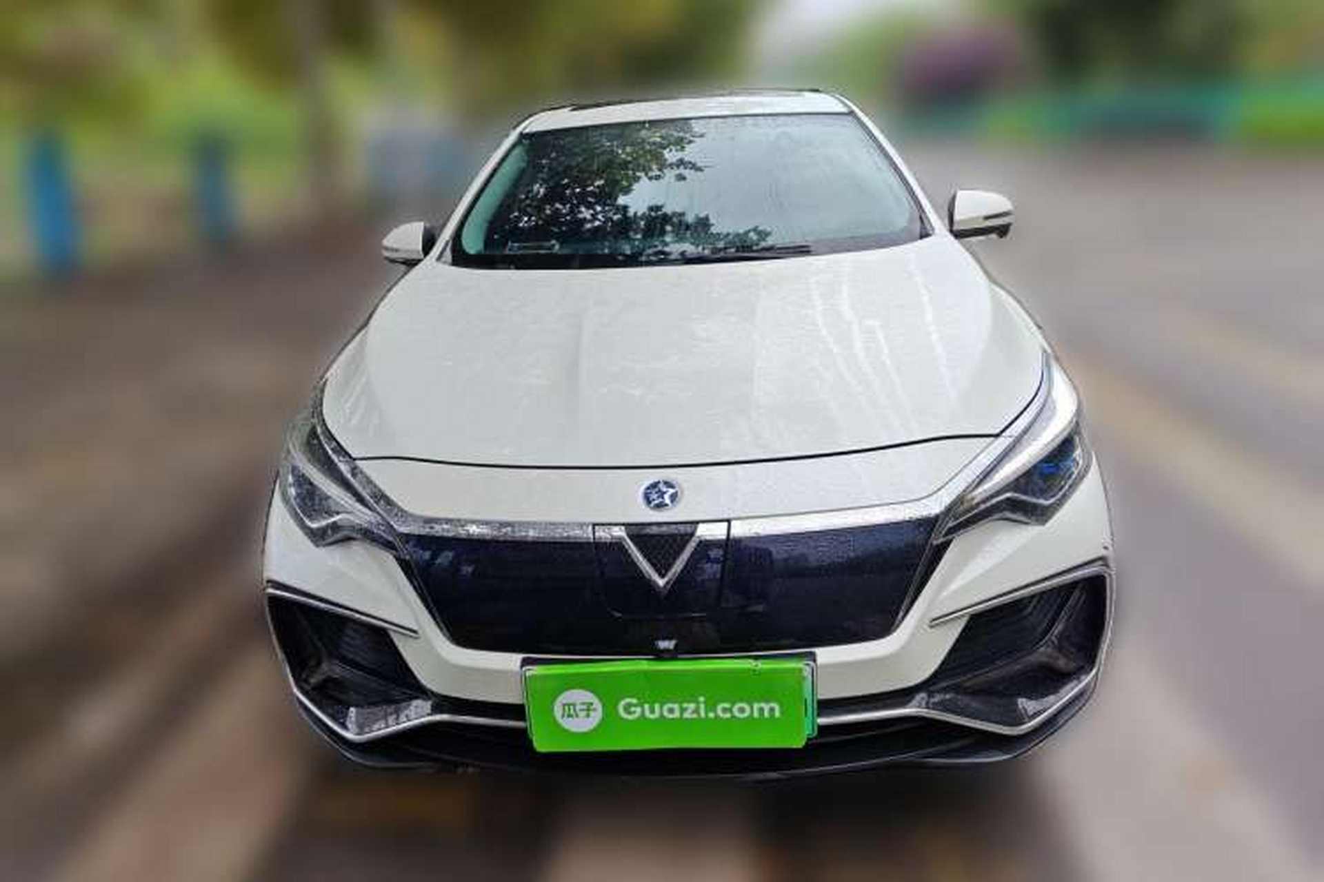 Used Venucia D60EV 2019 High-Range Deluxe Edition Front