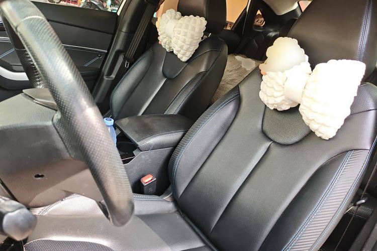 Used Venucia D60EV 2019 High-Range Deluxe Edition Left Front Seat